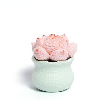 Tranquil Crochet Succulent Plants, 9 of 12