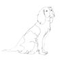 Personalised Pet Portrait In Mount, thumbnail 3 of 6