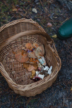 Short Guided Foraging Walk For Two In The South Downs, 3 of 12