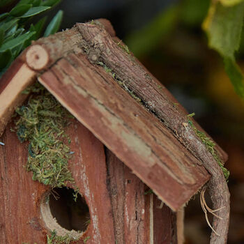 Woodland Lodge Bird House Doorstep Planter, 7 of 10