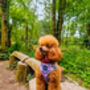 Secret Garden Floral Dog Harness, thumbnail 3 of 7