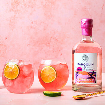Pangolin Gin, Pink Citrus Hand Crafted Gin, 4 of 7