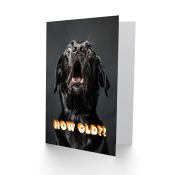 Joke Shocked Black Labrador Dog How Old Funny Birthday Card, 2 of 5