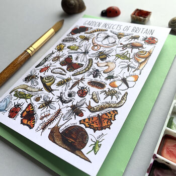 Garden Insects Of Britain Greeting Card, 10 of 12