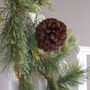 Garland With Large Pinecones, thumbnail 4 of 5