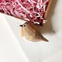 Robins Appear Wooden Loss Grief Letterbox Mini Gift Funeral, thumbnail 2 of 2