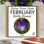 Unusual Birthday Gardening Gift. February Birth Flower, thumbnail 1 of 6