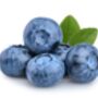 Fruit Plants In Two Litre Pots, thumbnail 4 of 5