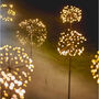 Solar Dandelion Outdoor Stake Light, thumbnail 1 of 4