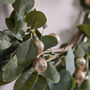 Winter Botanicals Eucalyptus Sparkle Wreath, thumbnail 4 of 6