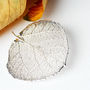 Natural Aspen Real Leaf Gold Or Silver Brooch, thumbnail 2 of 11