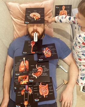 Human Anatomy Learning Cards And Gift Set, 5 of 12