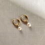 Freshwater Pearl Gold Plated Hoop Earrings, thumbnail 2 of 3