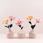 Mothers Day Flower Box Keepsake, thumbnail 4 of 5