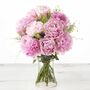 Pink Peonies, thumbnail 1 of 3