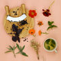 Personalised Seed Kit: Grow Your Own Edible Flowers, thumbnail 5 of 9