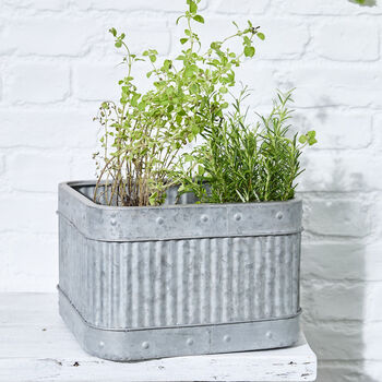Set Of Three Industrial Corrugated Tub Planters, 3 of 6