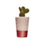 Concrete Pot Tall With Cactus/ Succulent In Copper, thumbnail 2 of 3