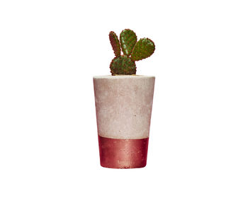 Concrete Pot Tall With Cactus/ Succulent In Copper, 2 of 3