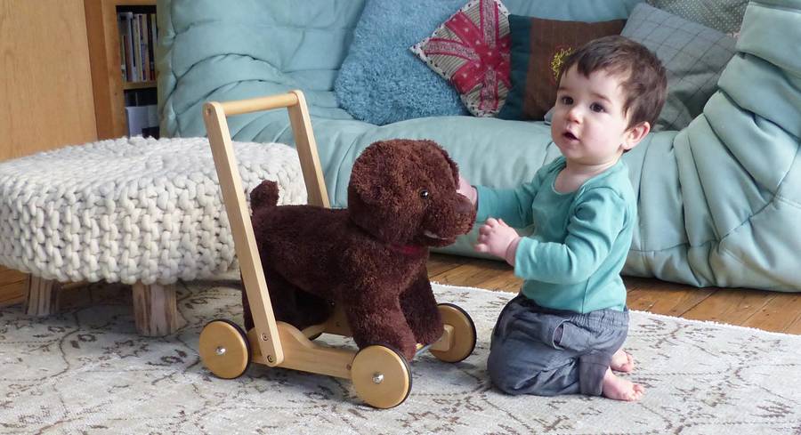 peter puppy push along baby walker by hibba toys of leeds ...