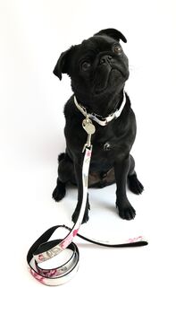 Disley White Pink Floral Collar And Lead Set, 3 of 7