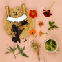 Grow Your Own Mediterranean Herbs, thumbnail 8 of 10