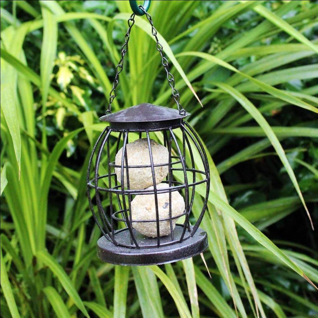 Lantern Fat Ball Feeder For Wild Birds By The Bird Bakery