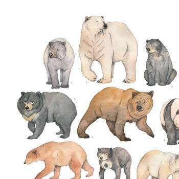 Bears Watercolour Print, 5 of 6