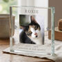 Personalised Pet Memorial Photo Crystal Token, thumbnail 1 of 8