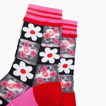 Daisy Checkerboard Combed Cotton Sheer Pop Socks In Pink, 2 of 4