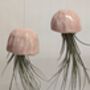 Ceramic Shell Jellyfish Air Plant Gift For Plant Lover, thumbnail 2 of 12