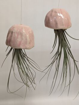 Ceramic Shell Jellyfish Air Plant Gift For Plant Lover, 2 of 12