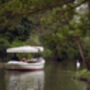 Picnic Cruise Experience On The River In Oxford, thumbnail 3 of 6