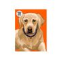 100 Piece Dog Jigsaw Puzzle, thumbnail 3 of 7