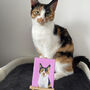 Personalised Mini Pet Portrait Painting, thumbnail 6 of 10