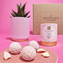 Pink And Gold Houseplant And Pink Gin Truffles, thumbnail 1 of 6