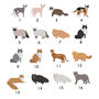Personalised Cat Breed Fridge Magnet, thumbnail 2 of 11