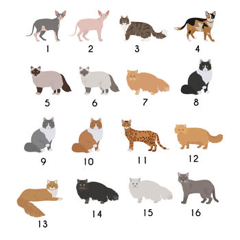Personalised Cat Breed Fridge Magnet, 2 of 11