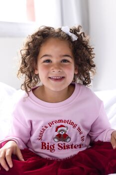 Santa's Promoting Me To Big Sister/Big Brother Embroidered Bear Sweatshirt Jumper, 5 of 6