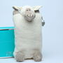 Sheep Cover And Hot Water Bottle With Engraved Heart, thumbnail 1 of 10