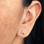 Stainless Steel Dolphin Stud Earrings In Gold Plating, thumbnail 1 of 4