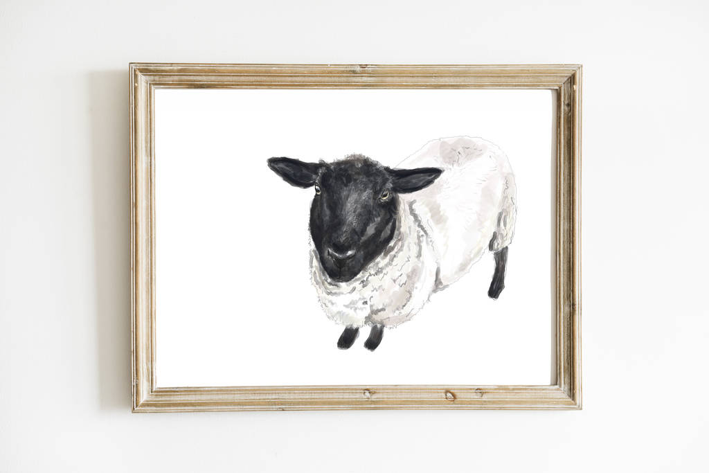 Sheep Art Print By Rebekah Marshall Artist & Illustrator ...