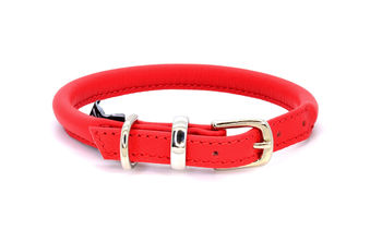 Luxury Soft Rolled Leather Dog Collar, 4 of 12