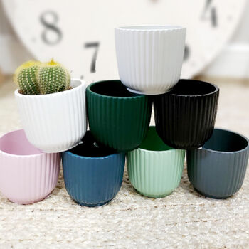 Set Of Three Small Cactus In Pot Pick Your Colour Pots, 8 of 9
