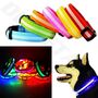 LED Light Up Dog Collars, thumbnail 2 of 9