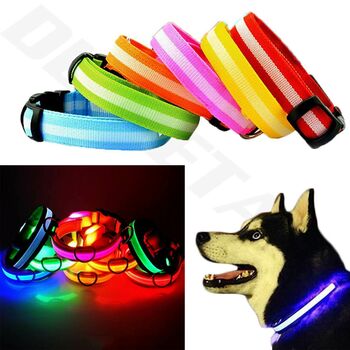 LED Light Up Dog Collars, 2 of 9