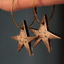 Sepia And Gold Star Earrings, thumbnail 1 of 4