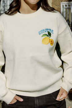 Cream Lemon Embroidered Knit Jumper, 8 of 8