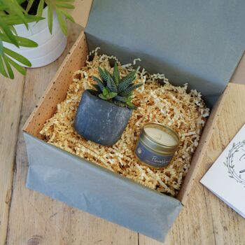 Soy Candle And Real Potted Plant Succulent Gift, 3 of 7