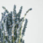 Natural Fragrant Lavender Bunch Dried, thumbnail 2 of 2